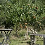 Wooden House With Wild Garden By Sejero Bay בית נופש קלונדבורג