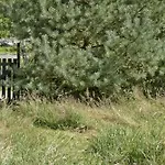 בית נופש Wooden House With Wild Garden By Sejero Bay קלונדבורג