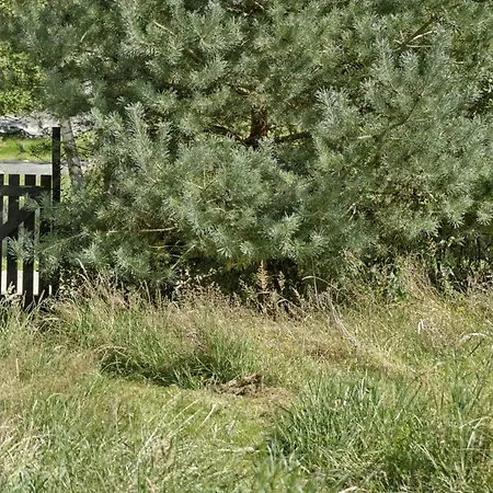Tatil Evi Wooden House With Wild Garden By Sejero Bay Kalundborg
