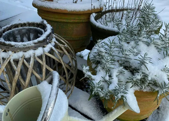 Wooden House With Wild Garden By Sejero Bay Hébergement de vacances *